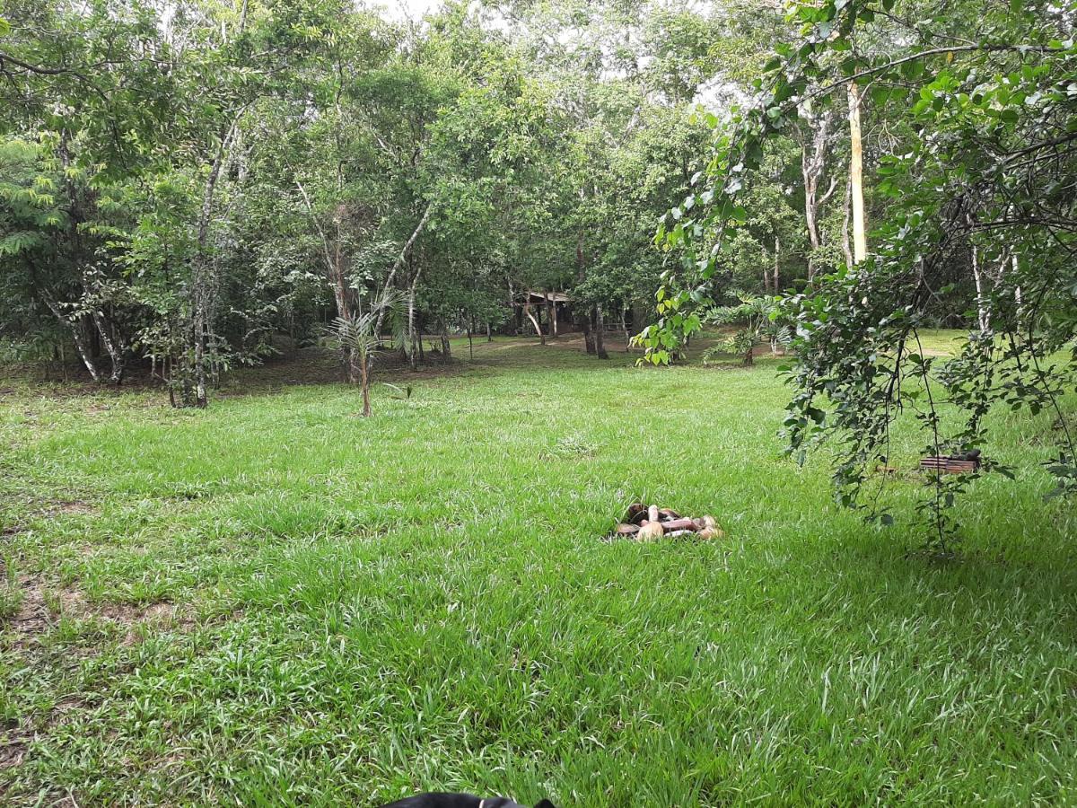 Camping Das Aguas Pirenópolis المظهر الخارجي الصورة