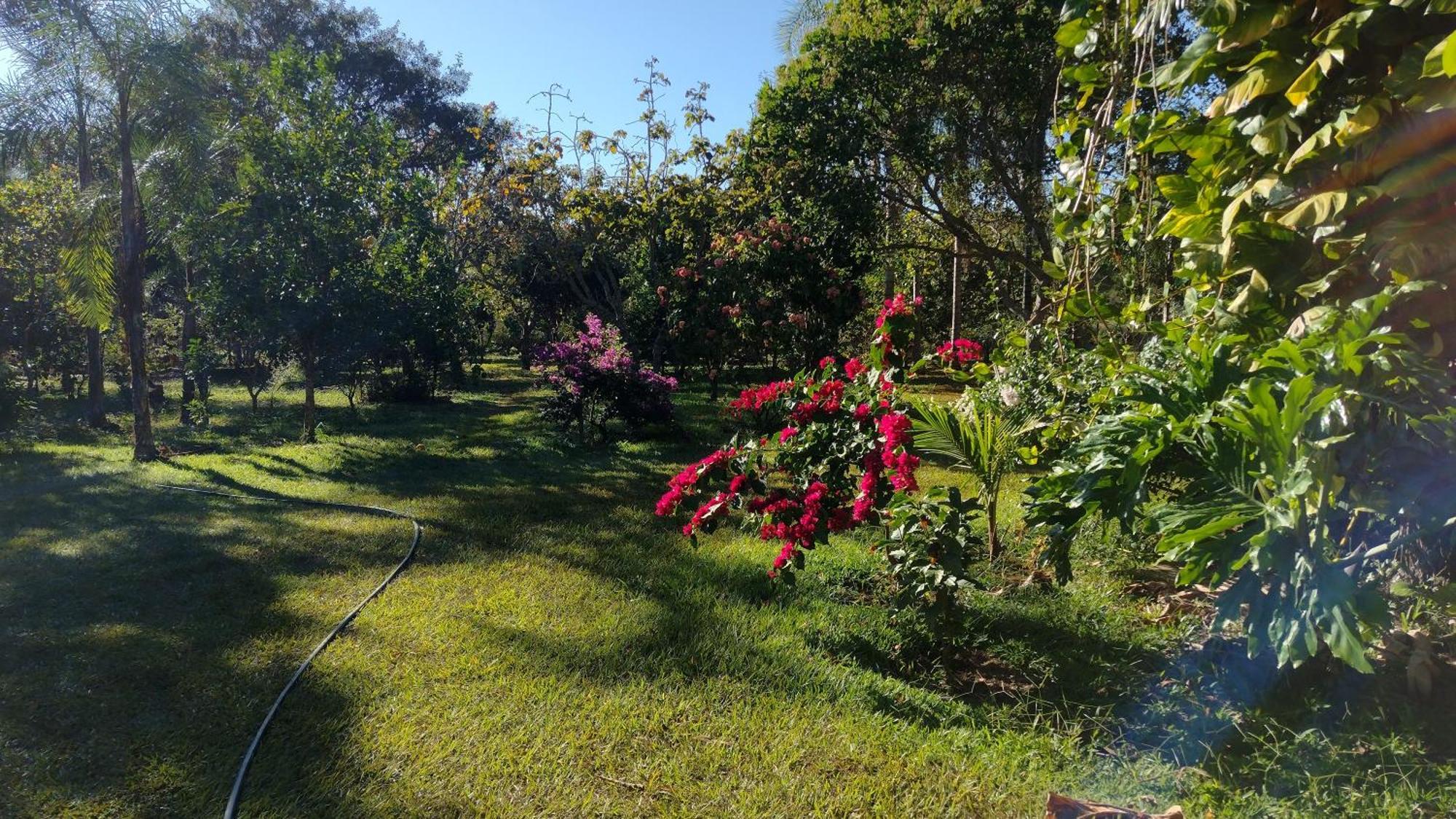 Camping Das Aguas Pirenópolis المظهر الخارجي الصورة