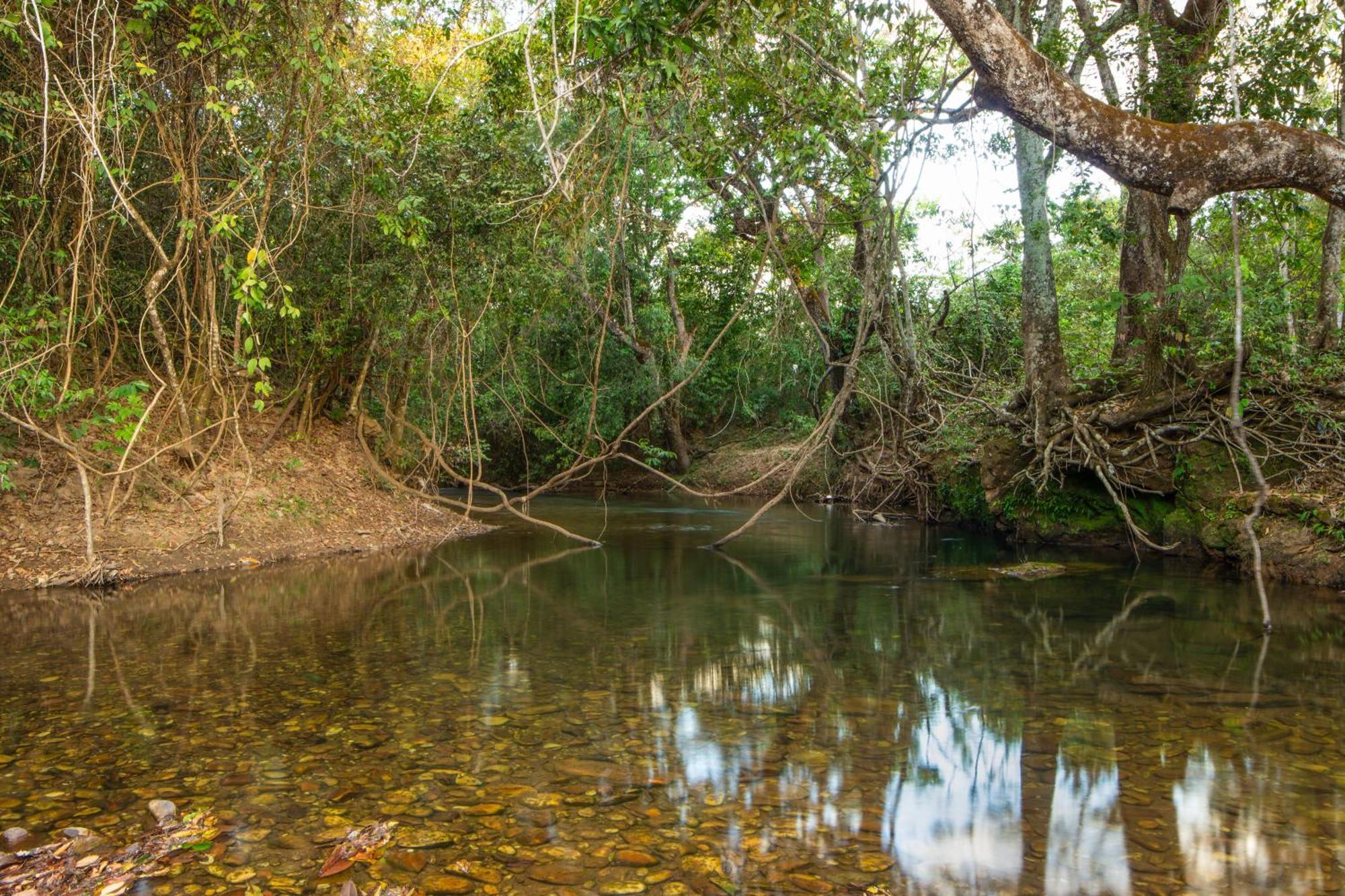 Camping Das Aguas Pirenópolis المظهر الخارجي الصورة